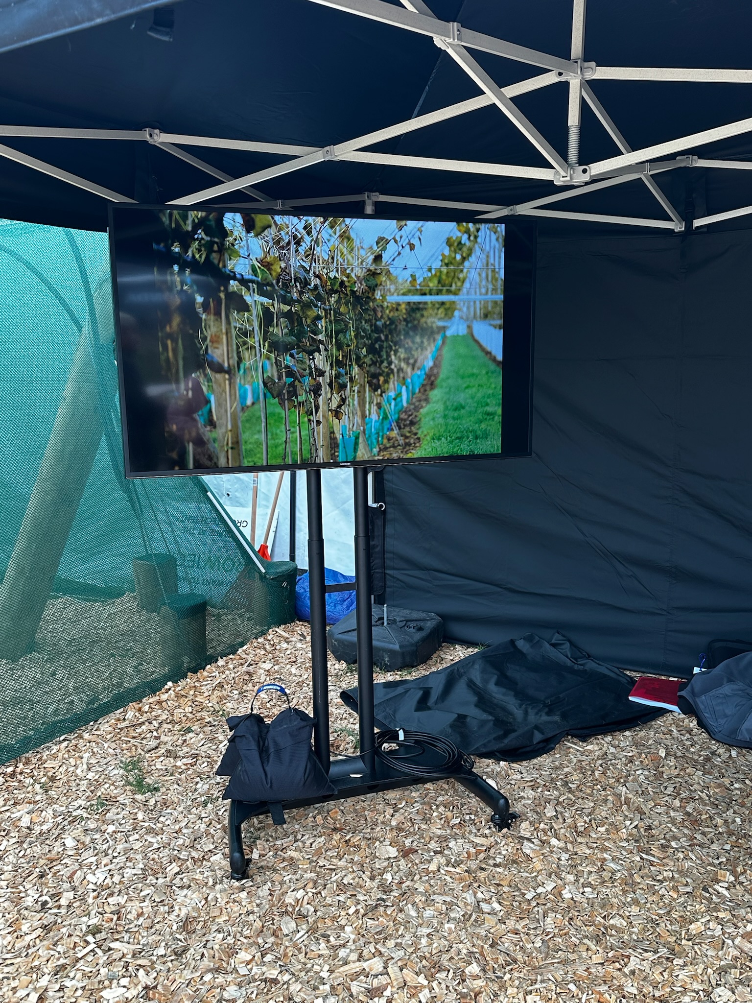 Photo of 55" TV with stand in action